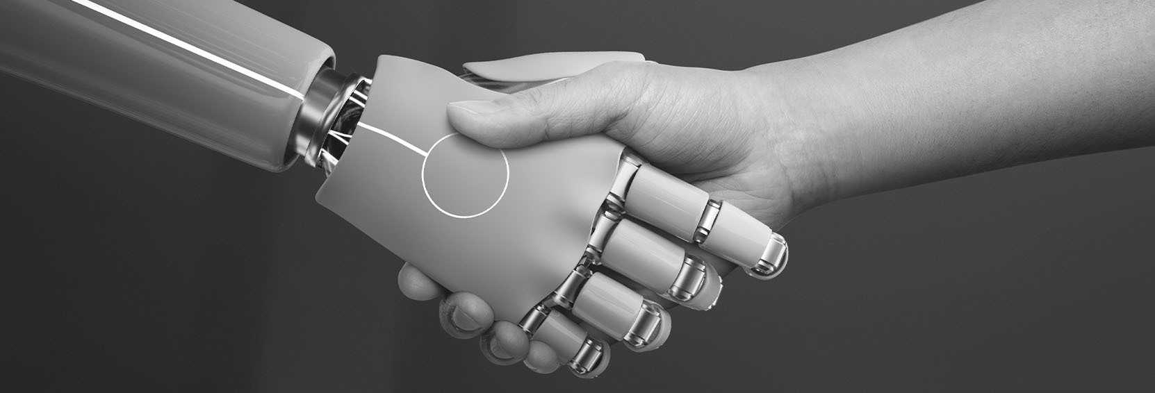 Advanced Integration Strategies - Image